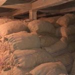 কোল্ড ষ্টোরেজ সিন্ডিকেট নিয়ন্ত্রণ করে আলুর বাজার দর!