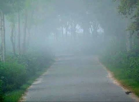 গাইবান্ধায়’ভোরের সকালে হালকা হিমেল হাওয়া  ও সাদা কুয়াশায় শীতের আগমনী বার্তা
