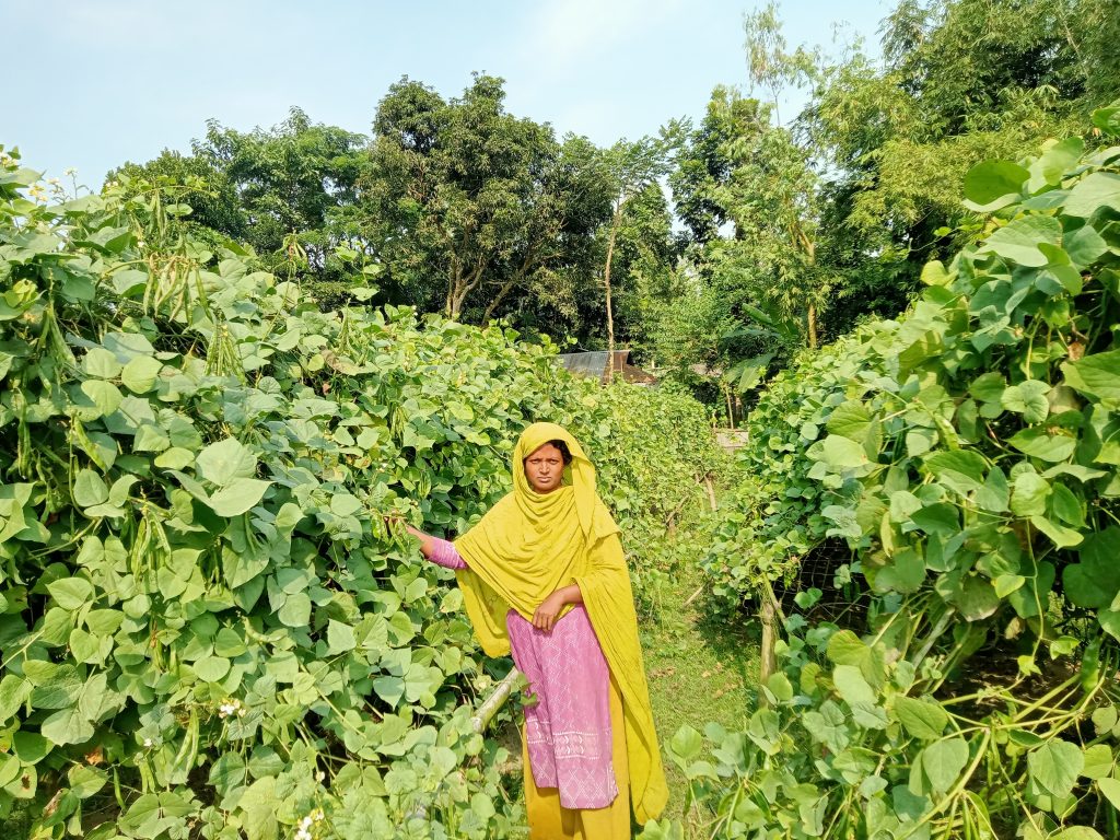 সবজি চাষে স্বাবলম্বী হয়েছেন নারী কৃষি উদ্যোক্তা দিশা
