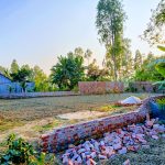 সাঘাটায় পুর্ব শত্রুতার জের ধরে নারী উদ্যোক্তার বসতবাড়ি ভাংচুর