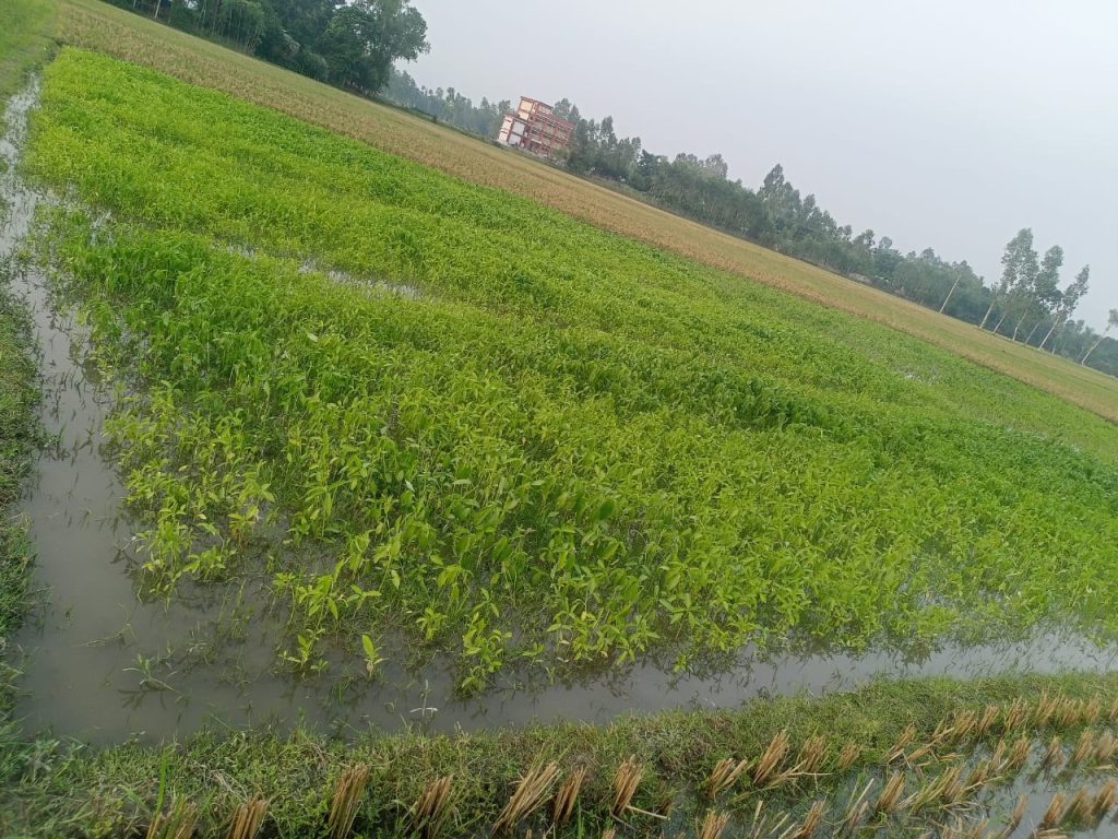 ৩০ বছরের ভোগদখলীয় জমি দখলের চেষ্টা, প্রাণনাশের হুমকি