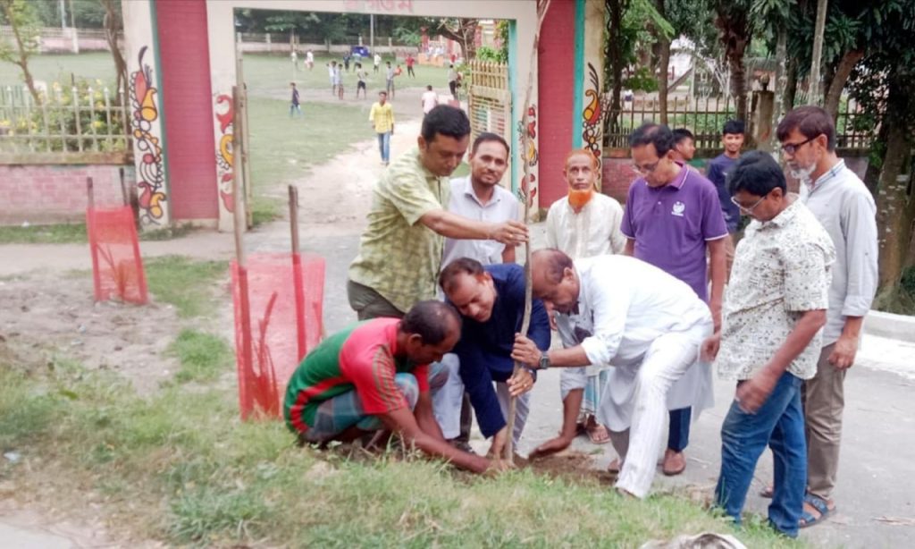 গাইবান্ধায় সৌন্দর্য বৃদ্ধিতে কৃষ্ণচূড়ার গাছ রোপন
